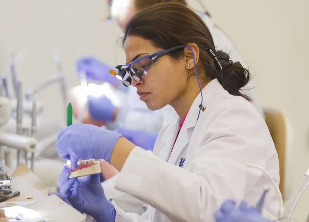 A dental medicine student in a white coat and mask works on a dental typodont model